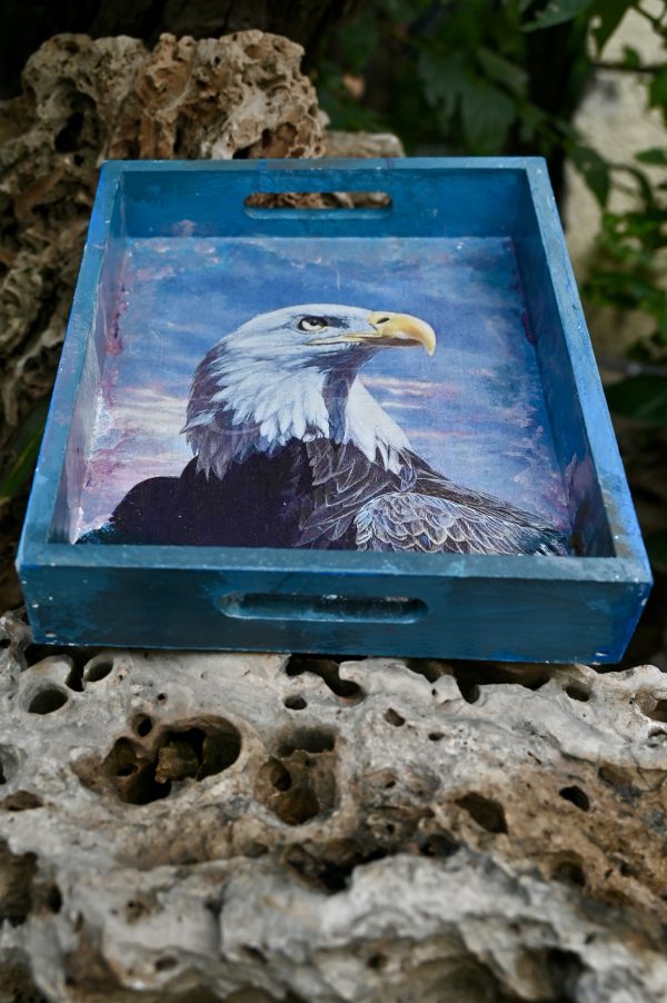 Blue Eagle Unity Tray - Image 3